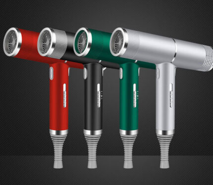 Sèche-cheveux domestique