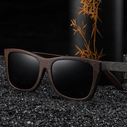 Lunettes de soleil polarisées à charnière avec ressort