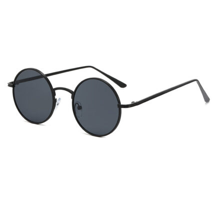 Lunettes de soleil de style rétro à la mode pour hommes